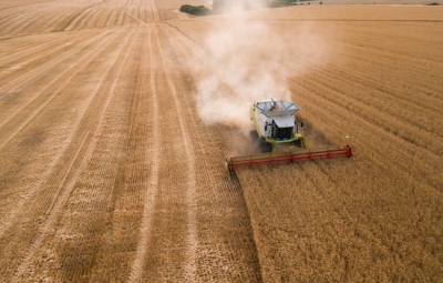 Confirmation de l’annulation de deux renouvellements d’autorisations accordées par l’ANSES de mise sur le marché de produits phytopharmaceutiques contenant du glyphosate