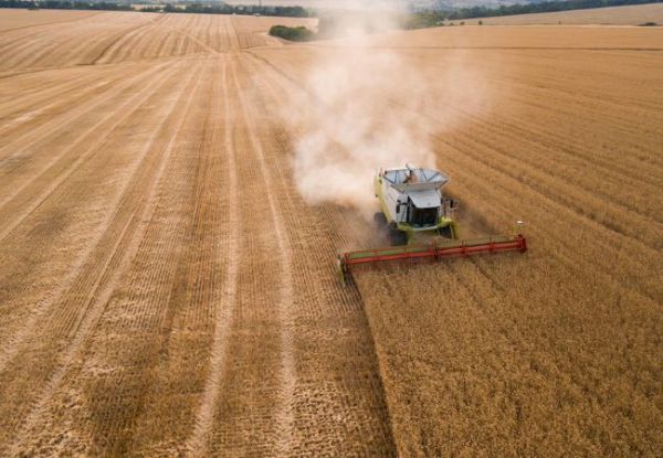 Confirmation de l’annulation de deux renouvellements d’autorisations accordées par l’ANSES de mise sur le marché de produits phytopharmaceutiques contenant du glyphosate