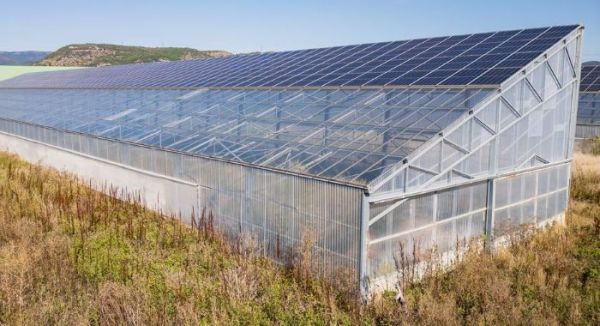 Visuel d'une serre agricole avec des panneaux photovoltaïques sur son toit