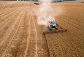 Confirmation de l’annulation de deux renouvellements d’autorisations accordées par l’ANSES de mise sur le marché de produits phytopharmaceutiques contenant du glyphosate