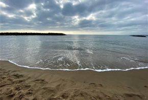 La cour juge qu’aucune disposition législative ou règlementaire ne donne le pouvoir au préfet de région d’interdire de manière générale la construction d’ouvrages de « protection dure » contre l’érosion côtière.