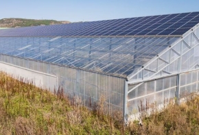 Visuel d'une serre agricole avec des panneaux photovoltaïques sur son toit